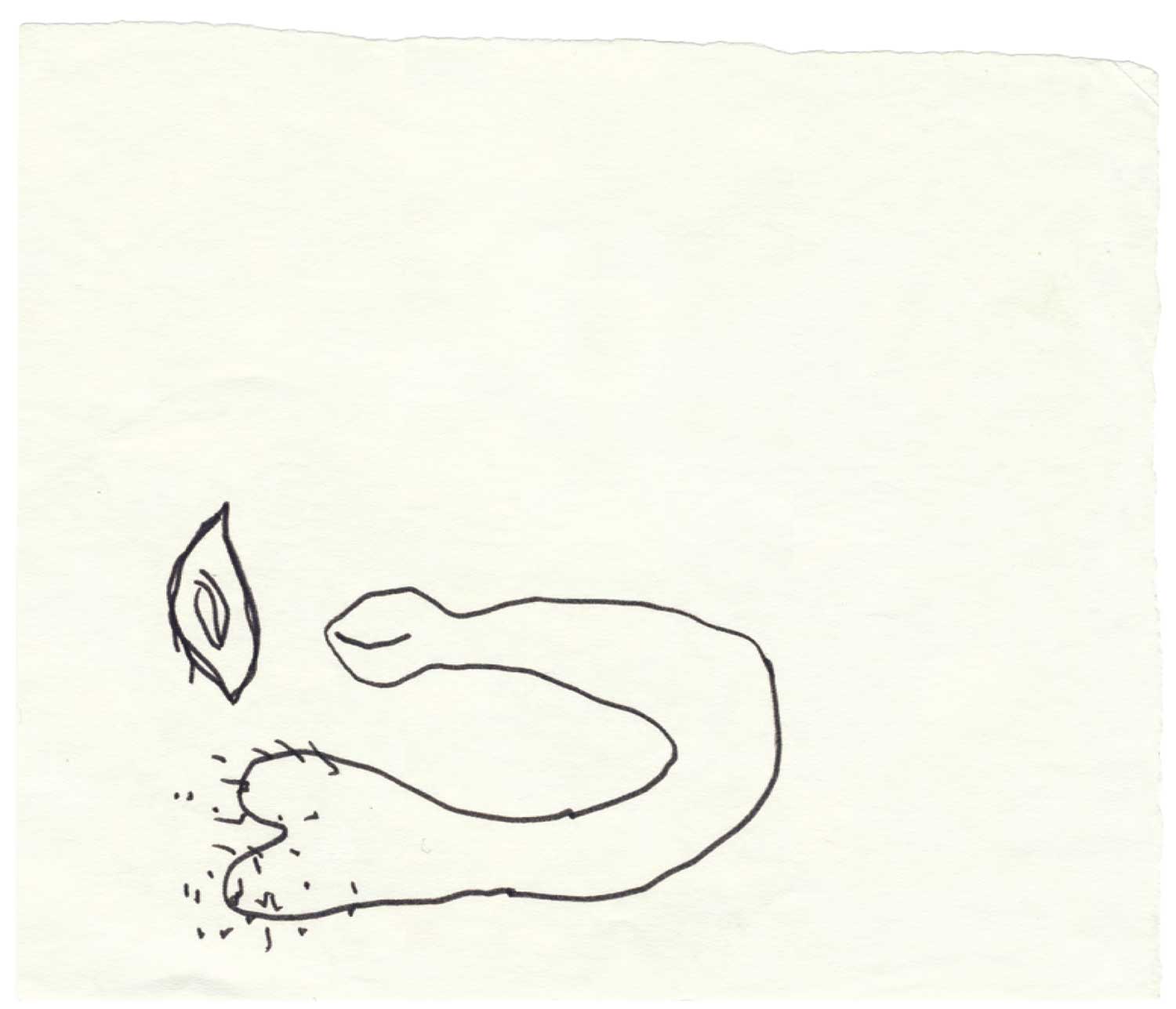 Annette Messager - Mes dessins secrets, 1972/2011