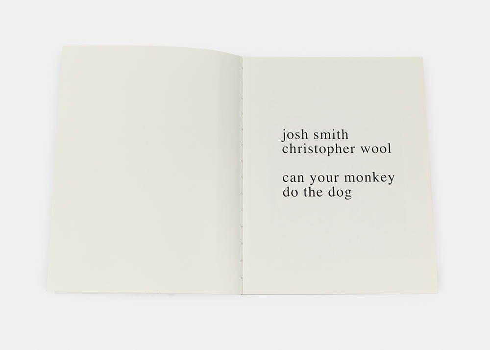 can your monkey do the dog, 2007 - Additional view