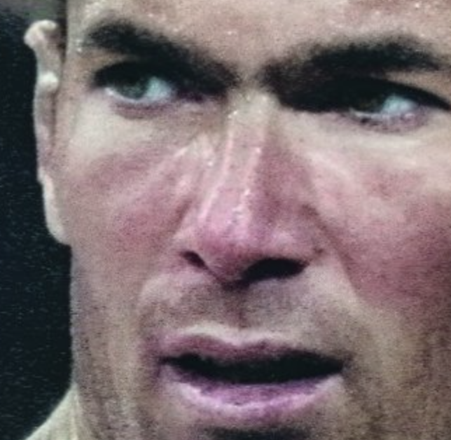 Zidane, un portrait du XXIe sicle