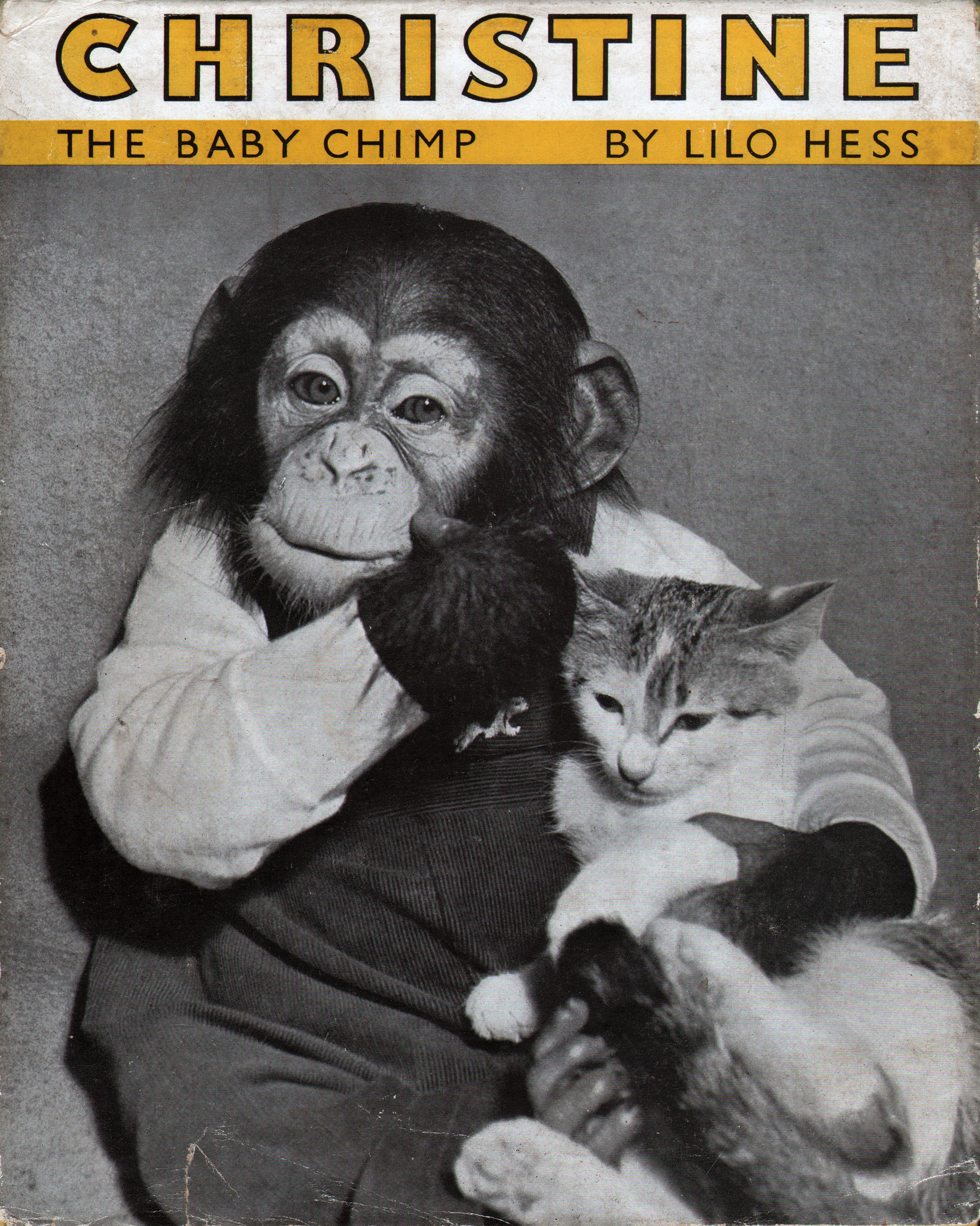 Chimpanzee artists - Christine : The Baby Chimp, 1954