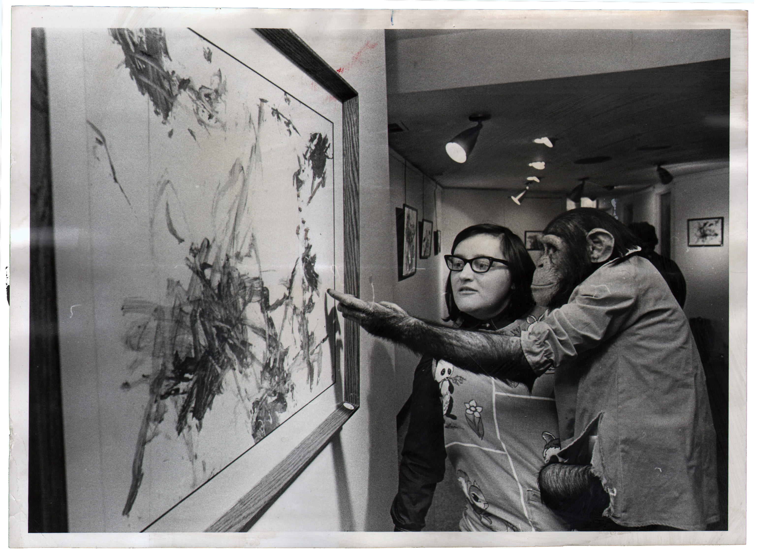 Chimpanzee artists - 