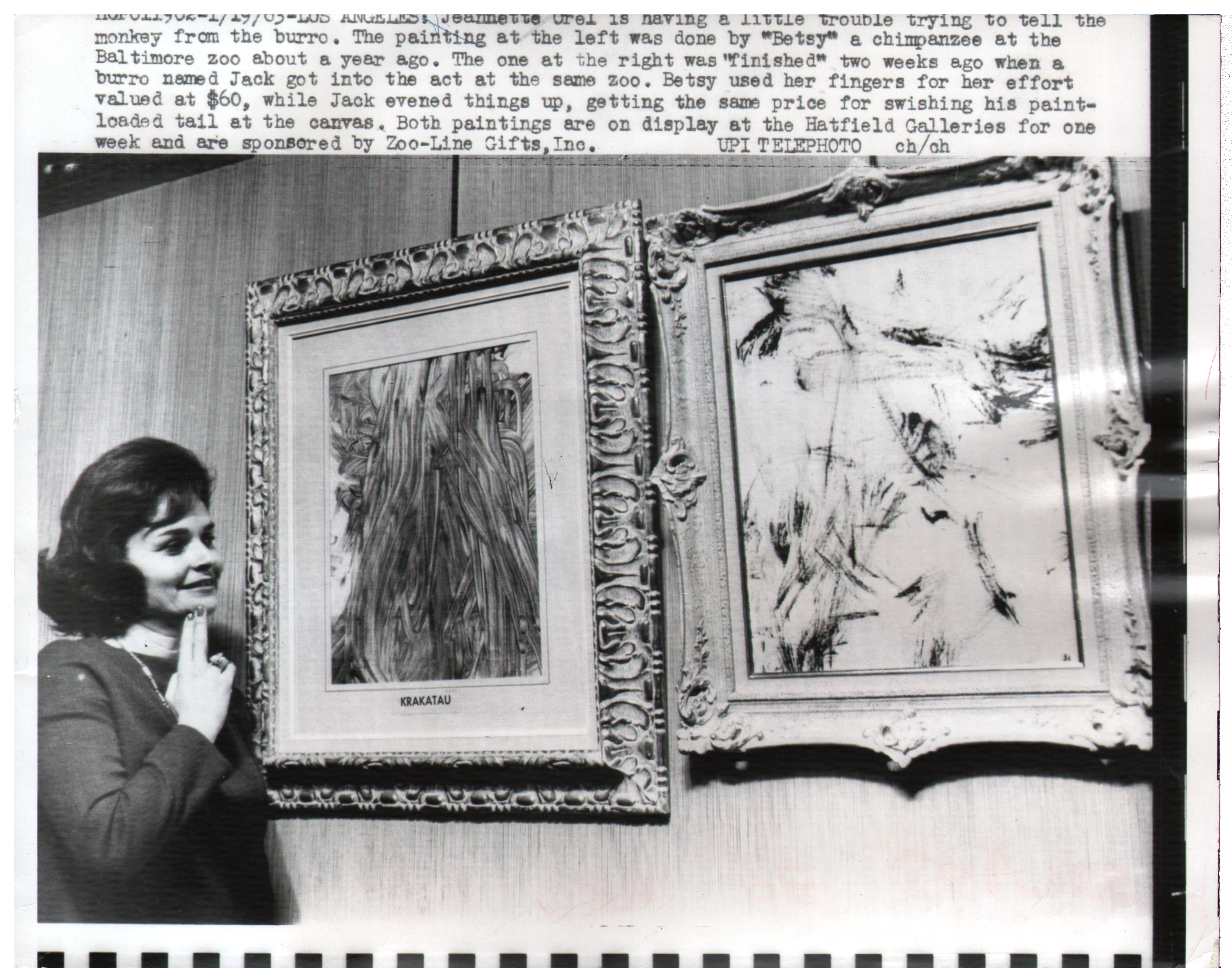 Chimpanzee artists - Woman Looking at Paintings Made by a Chimpanzee and a Donkey, 1963