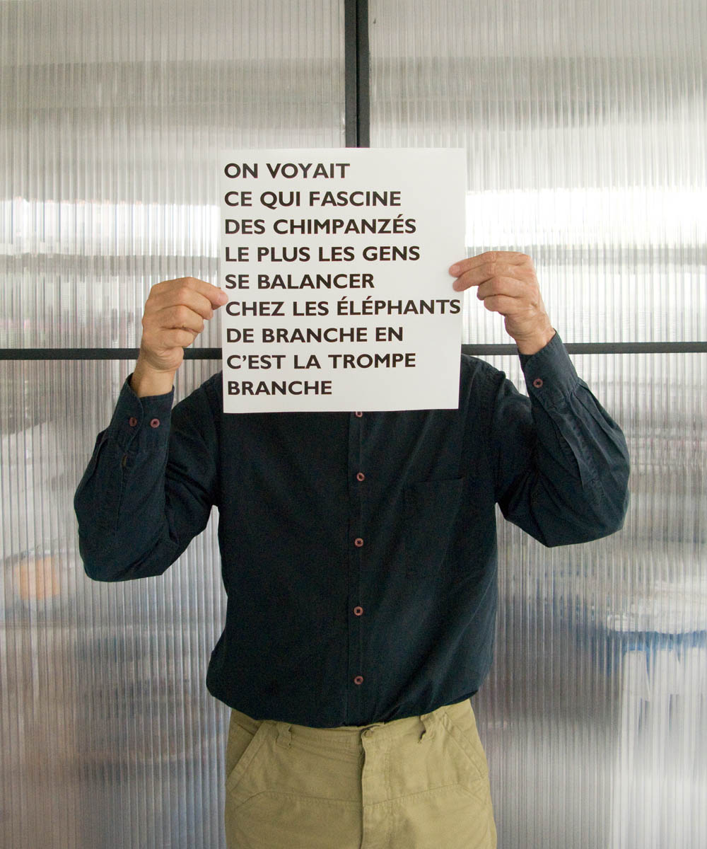 Philippe Cazal - Dans l'atelier... Des chimpanzés /Des éléphants, 2012 [2010]