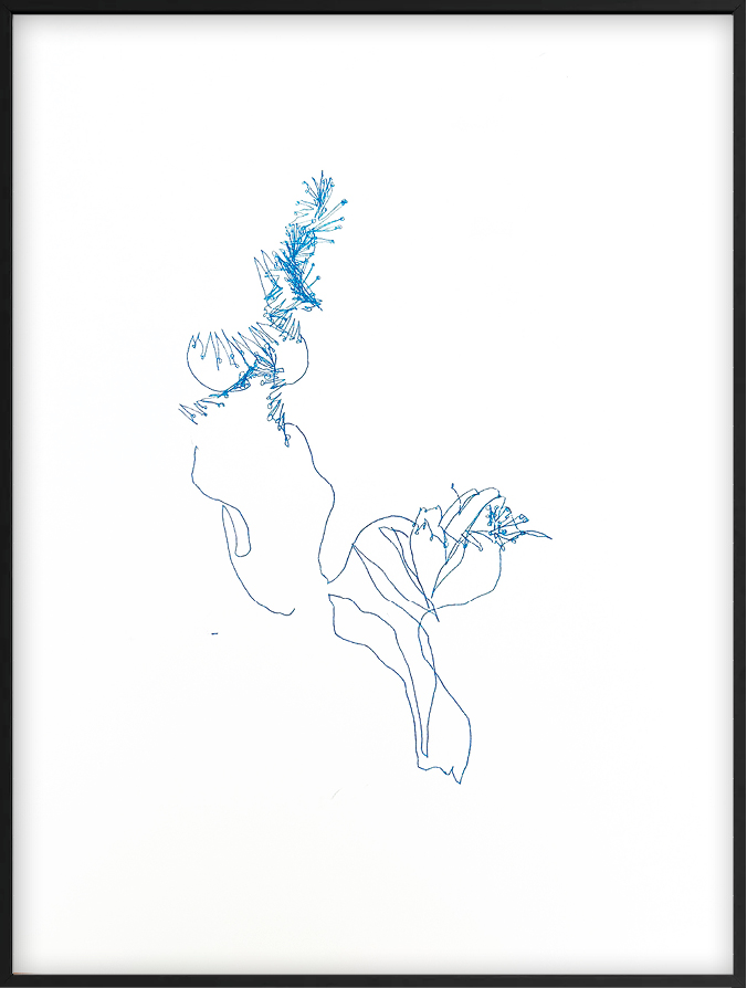 Cari Gonzalez-Casanova - Porpita porpita, 9 mn 26 s