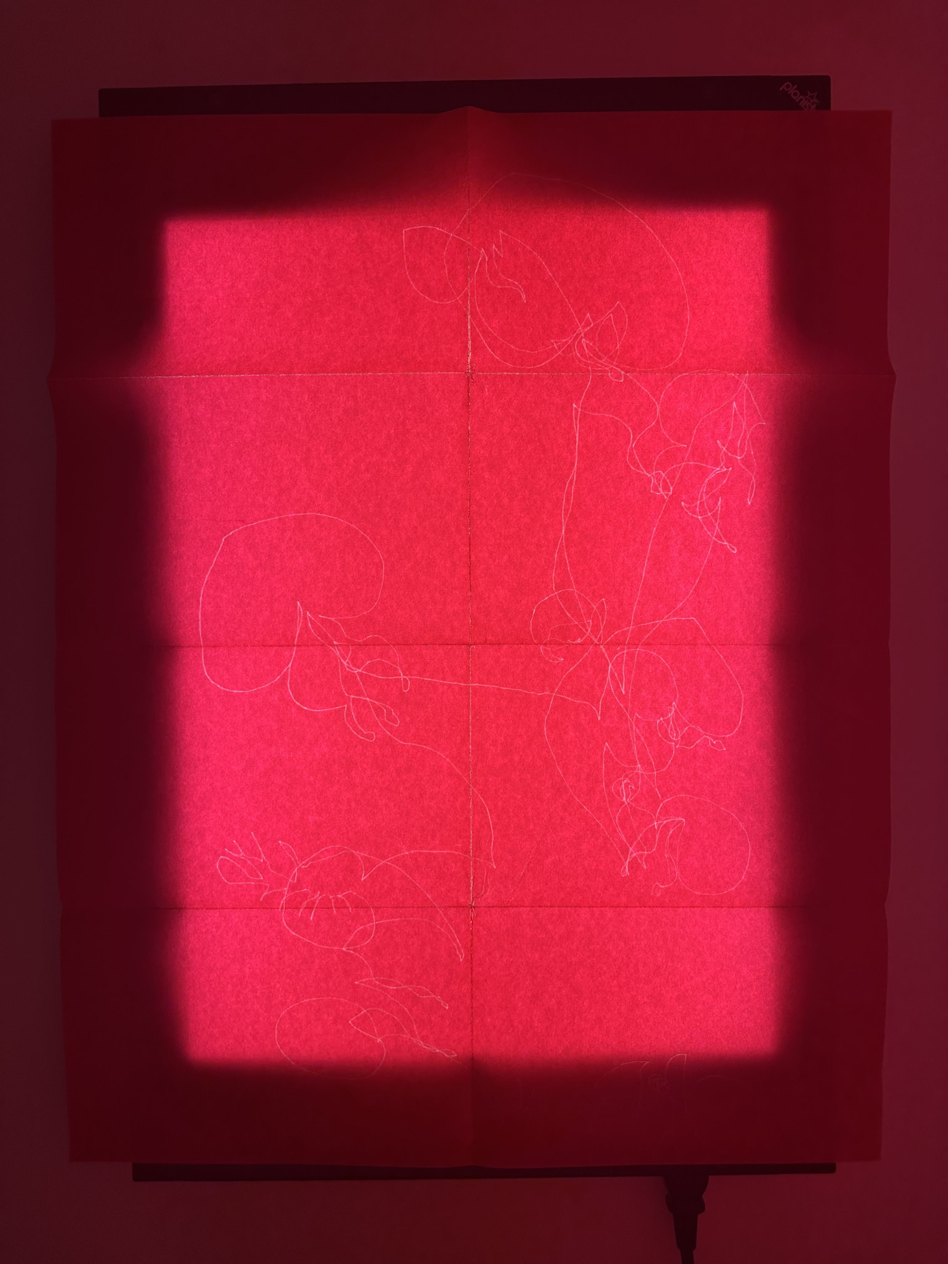 Cari Gonzalez-Casanova - Nymphoides Indica, 6 mn 25 s