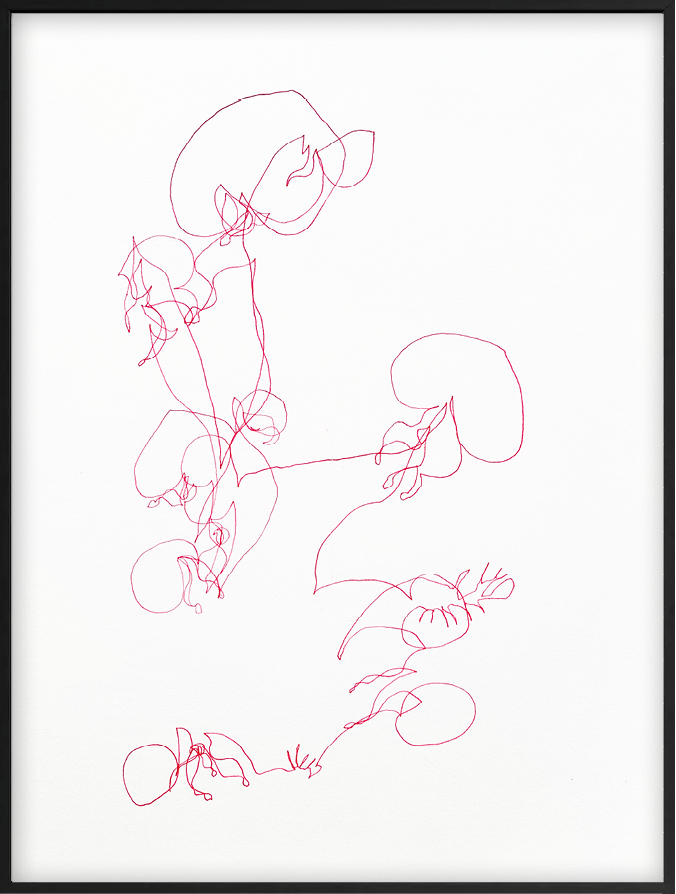 Cari Gonzalez-Casanova - Nymphoides Indica, 6 mn 25 s