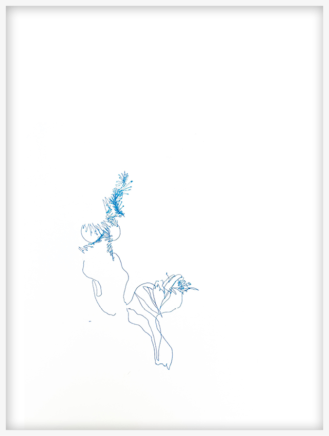 Cari Gonzalez-Casanova - Porpita porpita, 9 mn 26 s, 2025