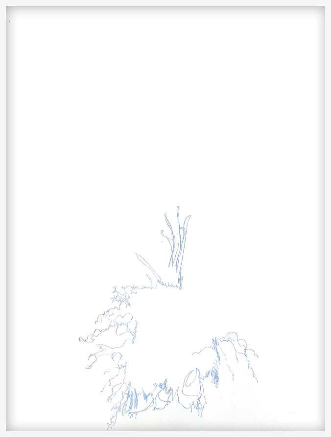 Cari Gonzalez-Casanova - 