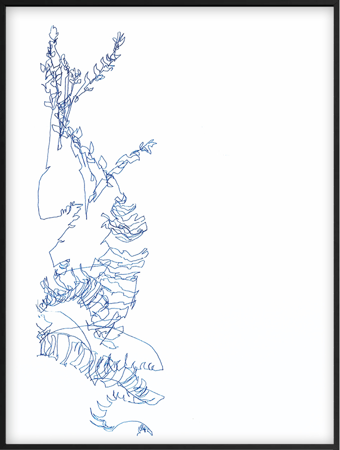 Cari Gonzalez-Casanova - Vriesea hieroglyphica, 9 mn 19 s