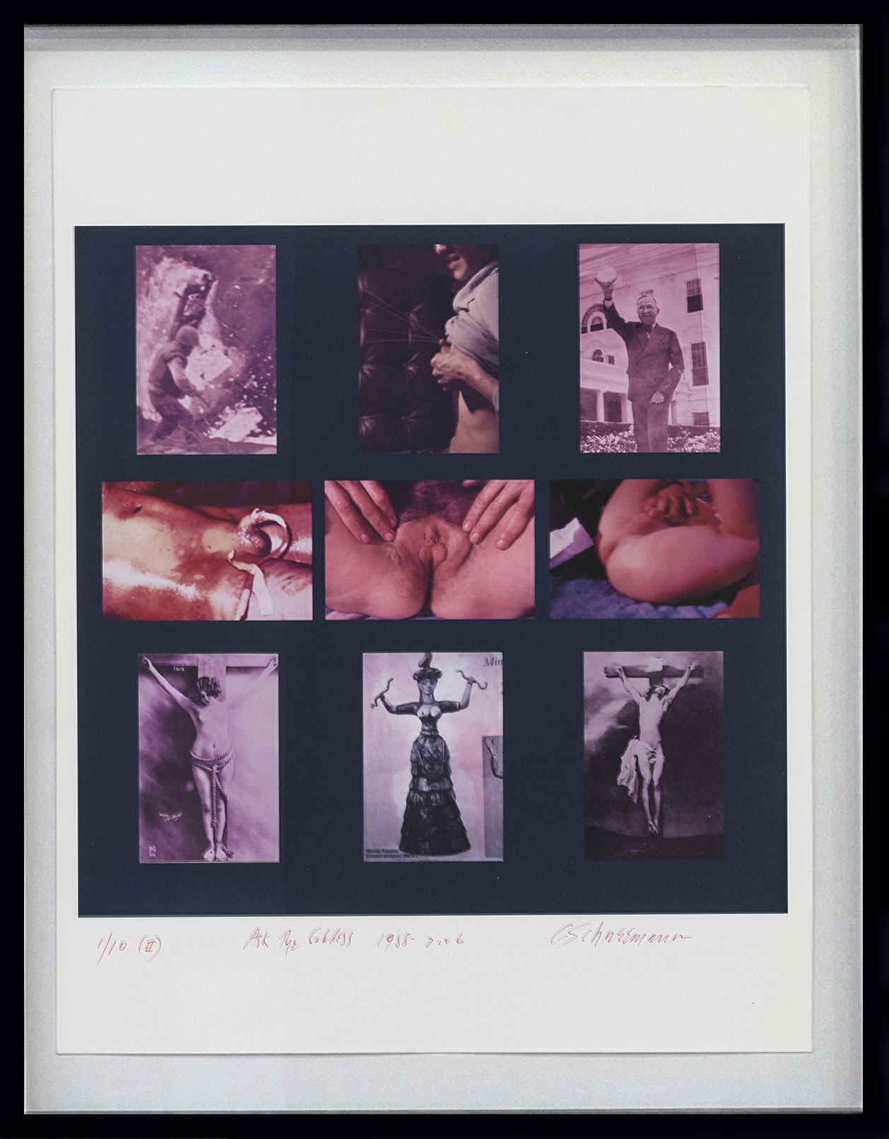 Carolee  Schneemann - 