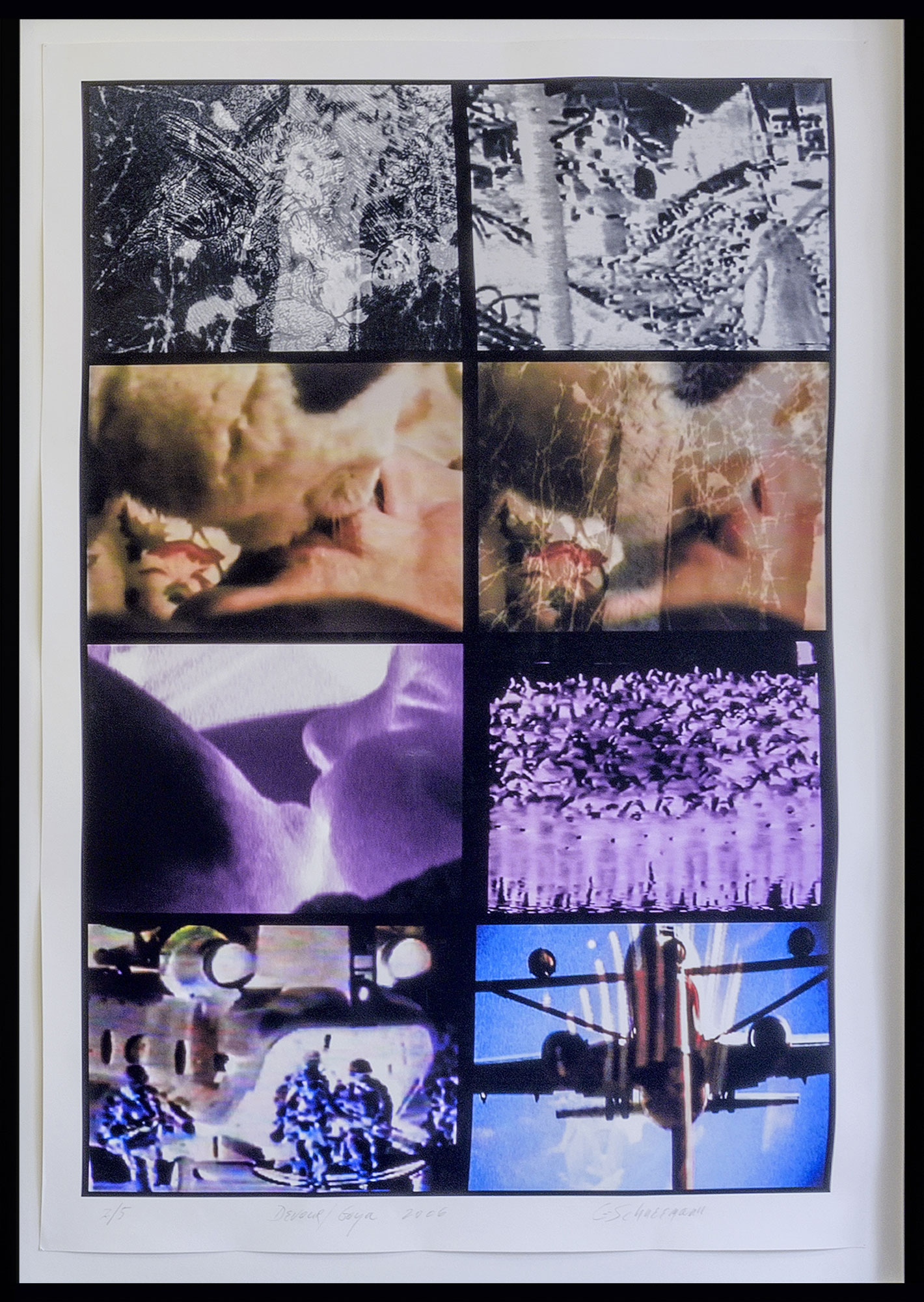 Carolee  Schneemann - Devour/Goya, 2006