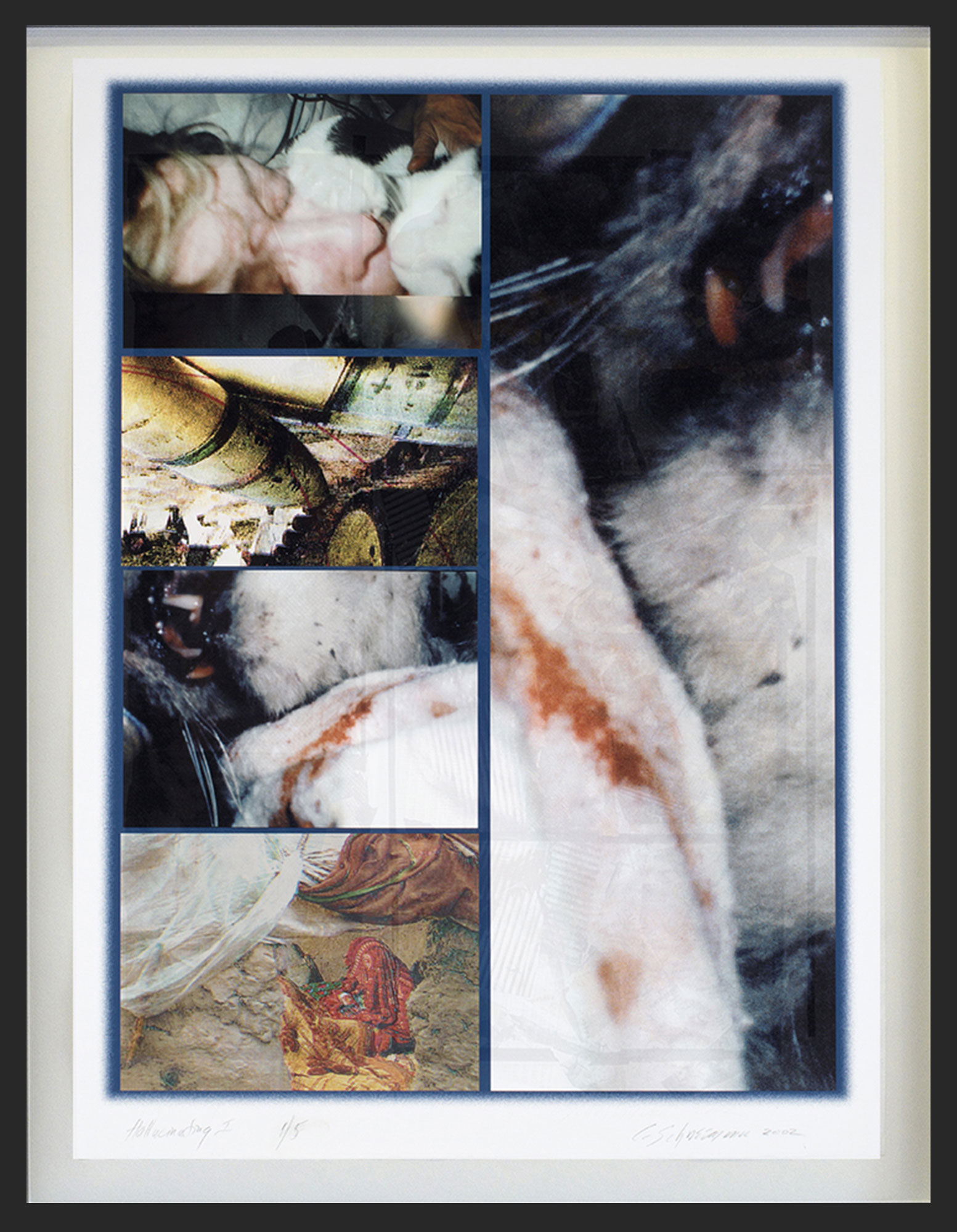 Carolee  Schneemann - 