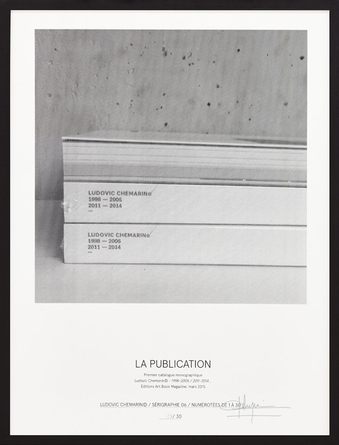 Ludovic Chemarin© - La publication, 2017