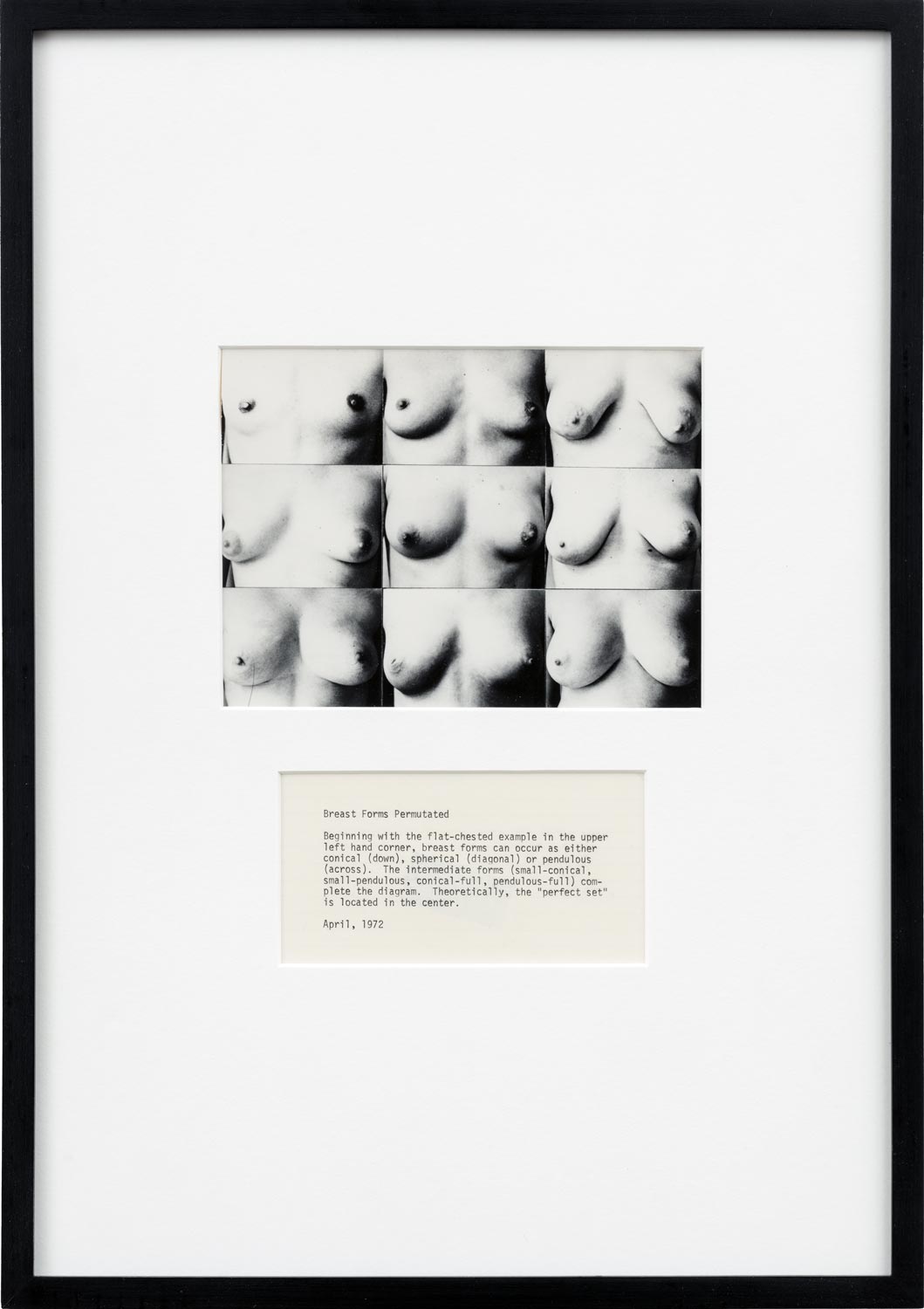 Martha Wilson - Breast Forms Permutated, 1972