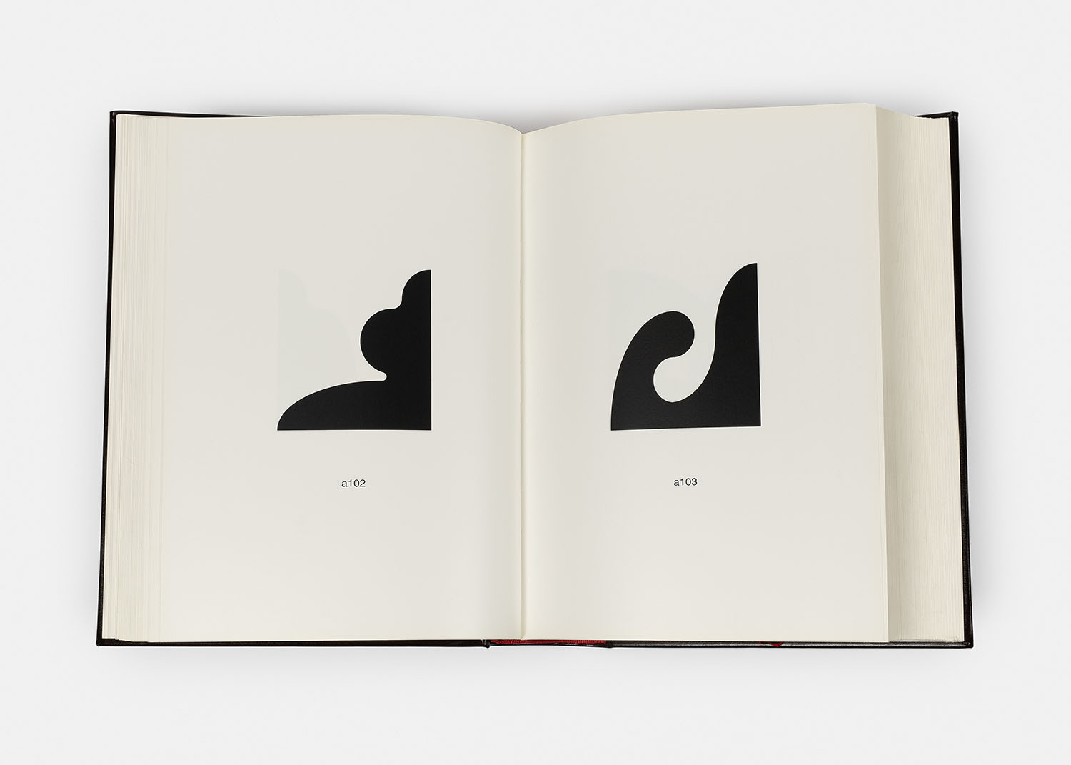 The Book of Shapes, 2010 - Additional view