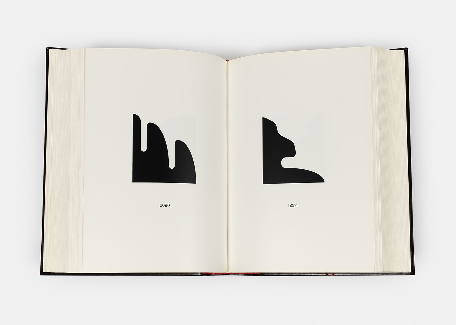 The Book of Shapes, 2010 - Additional view