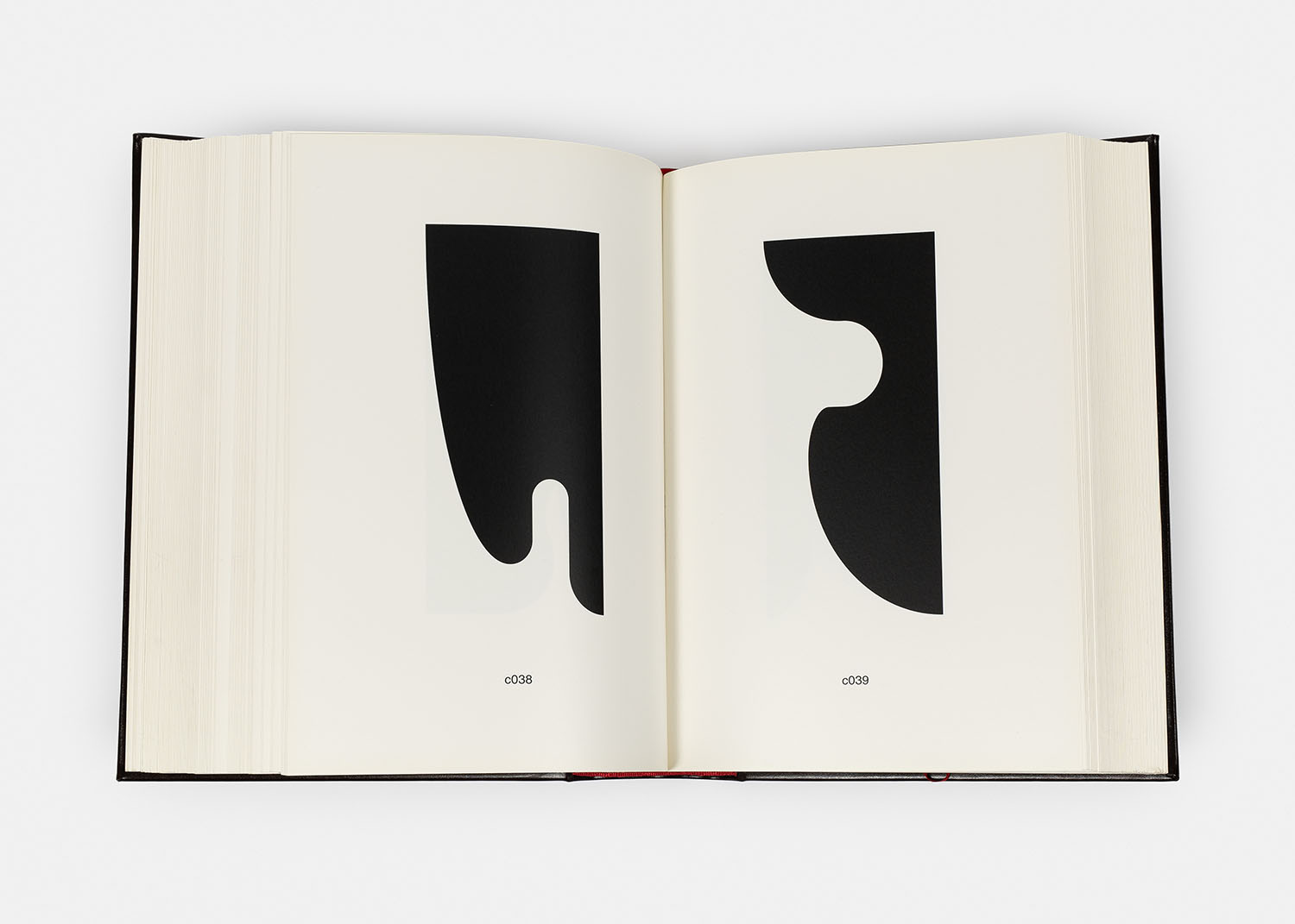 The Book of Shapes, 2010 - Vue suppl&eacute;mentaire