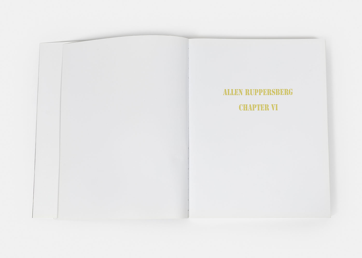 Allen Ruppersberg - Chapter VI, 2009 - 
