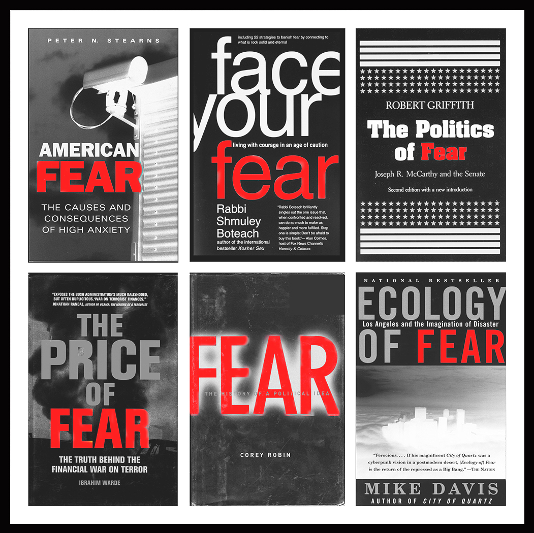 Fear, Panic, Terror, 2010 - Additional view
