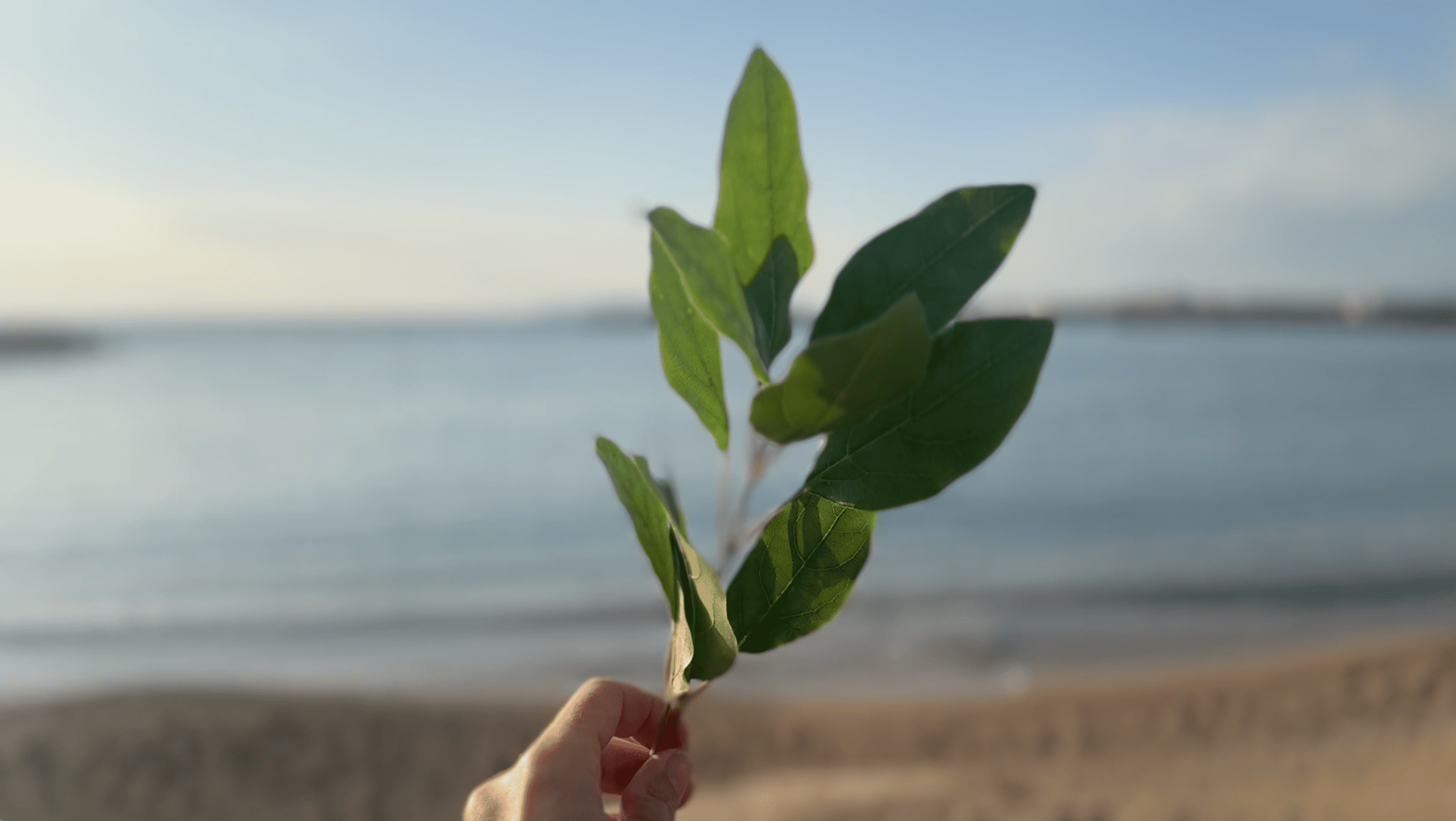 Lemanja, 2025 - Additional view