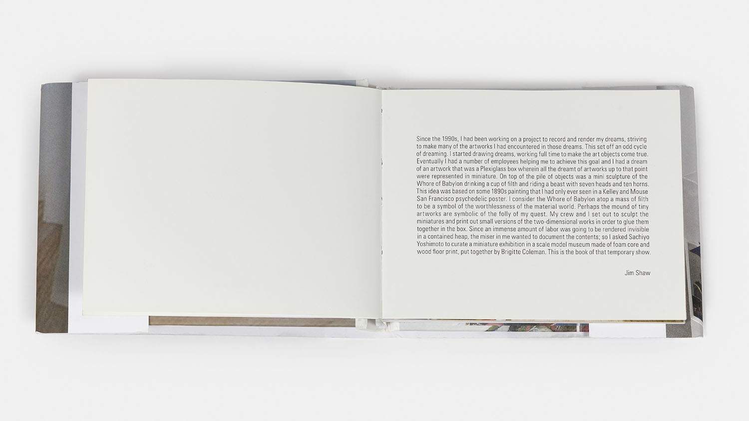 Dream Object Book, 2011 - Vue suppl&eacute;mentaire