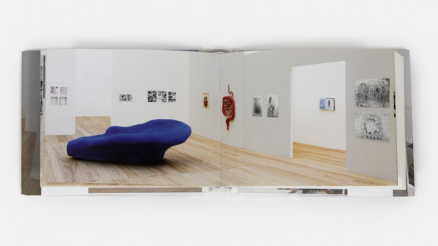 Dream Object Book, 2011 - Vue suppl&eacute;mentaire