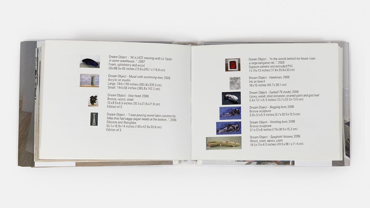 Dream Object Book, 2011 - Vue suppl&eacute;mentaire