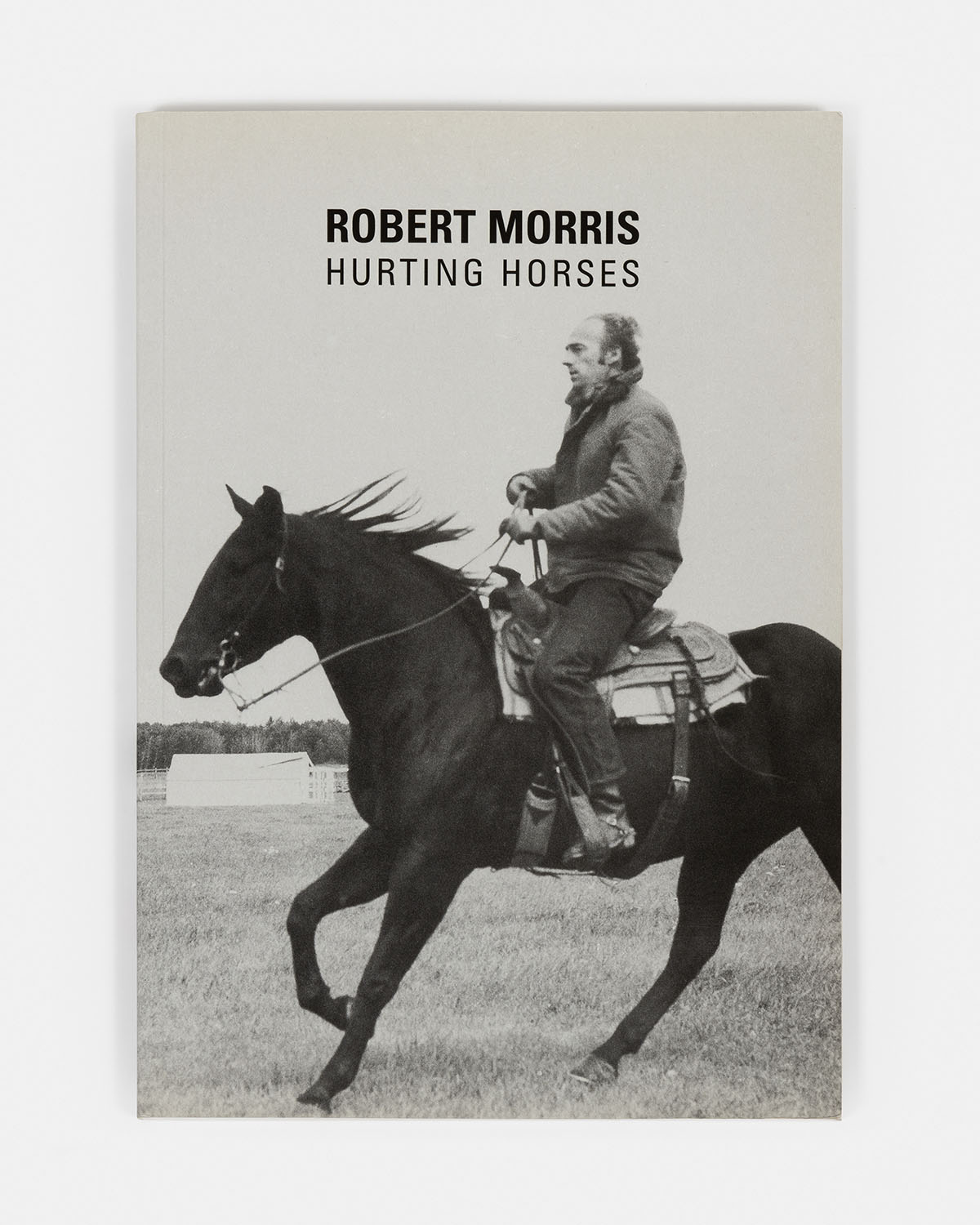 Robert Morris - Hurting Horses, 2005 - 