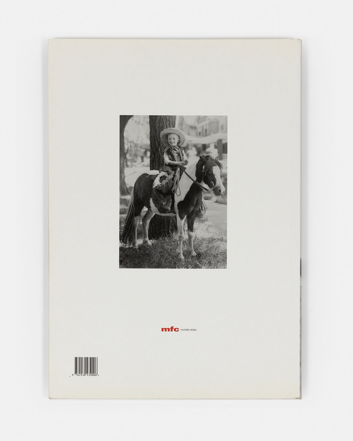 Hurting Horses, 2005 - Vue suppl&eacute;mentaire