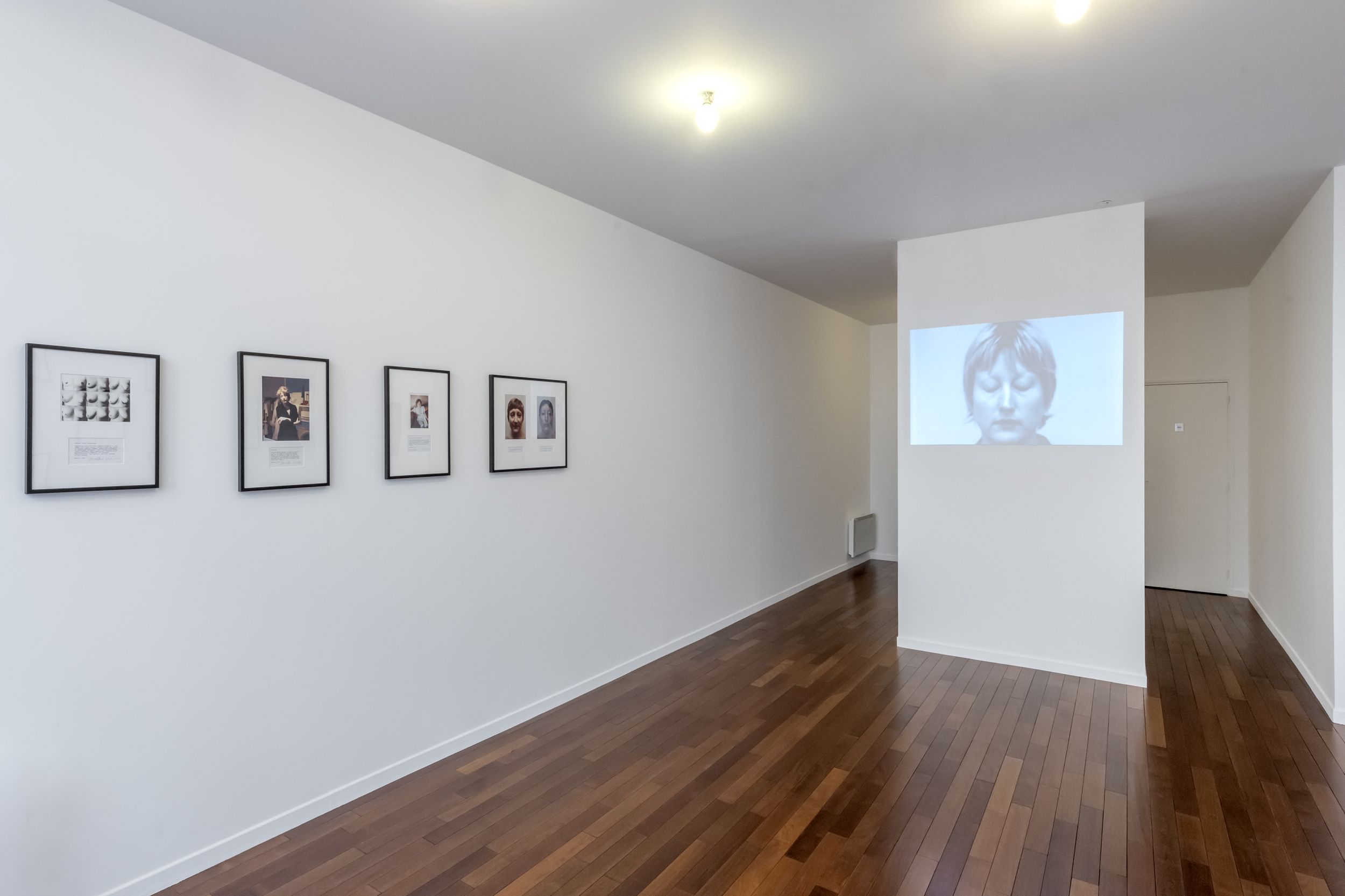 Martha Wilson: Staging the Journals