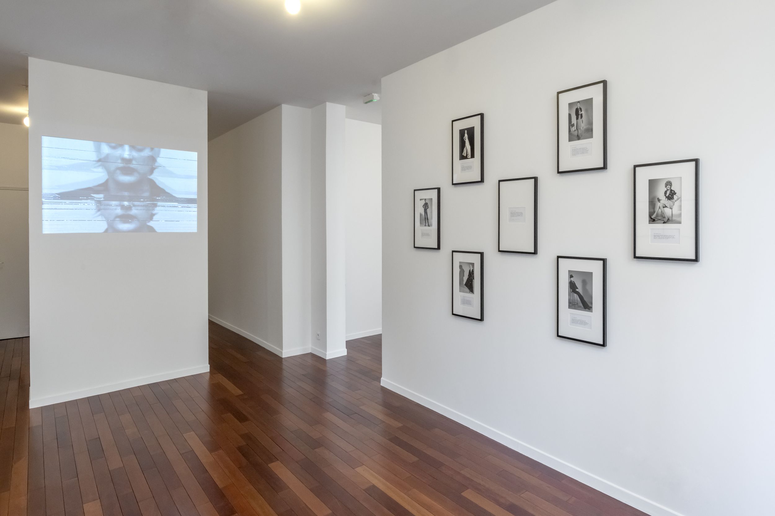 Martha Wilson: Staging the Journals