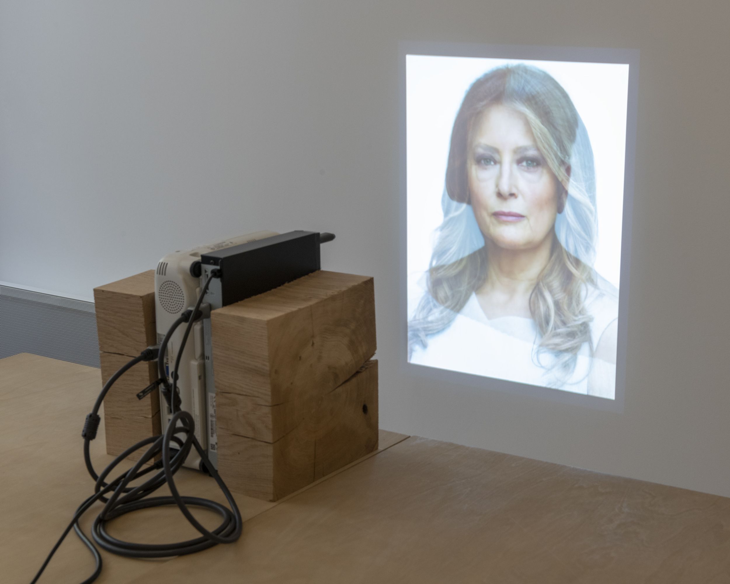 Martha Wilson: Staging the Journals