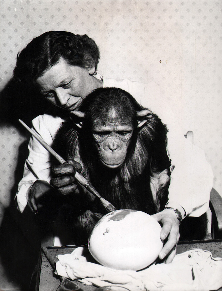 Monkey Business, Too : Rise of the Planet of the AIs 